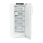 LIEBHERR FNd 4655-20 Gefrierschrank (D, 199 Liter, 1455 mm hoch) LIEBHERR FNd 4655-20 Gefrierschrank (D, 199 Liter, 1455 mm hoch)
