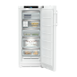 LIEBHERR FNd 4655-20 Gefrierschrank (D, 199 Liter, 1455 mm hoch) LIEBHERR FNd 4655-20 Gefrierschrank (D, 199 Liter, 1455 mm hoch)