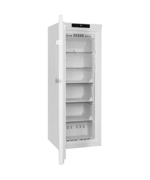BAUKNECHT GKN 17G4 WS 2 Gefrierschrank (E, 228 Liter, 1670 mm hoch)
