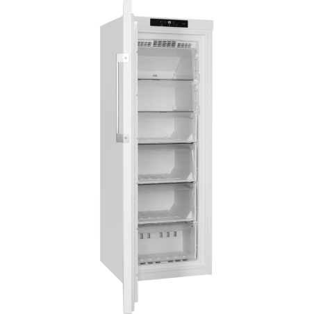 BAUKNECHT GKN 17G4 WS 2 Gefrierschrank (E, 228 Liter, 1670 mm hoch)