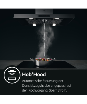 AEG DVS 567 AHG, Dunstabzugshaube (598 mm breit, 418 mm tief)