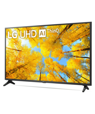 LG 65UQ91009LA UHD TV (Flat, 65 Zoll / 164 cm, UHD 4K, SMART TV, webOS 22 mit LG ThinQ)