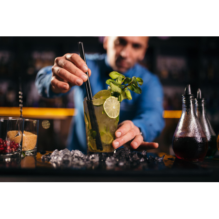 GASTROBACK 41143 EISWÜRFELBEREITER BARTENDER PRO Eiswürfelbereiter (145 Watt, Silber)